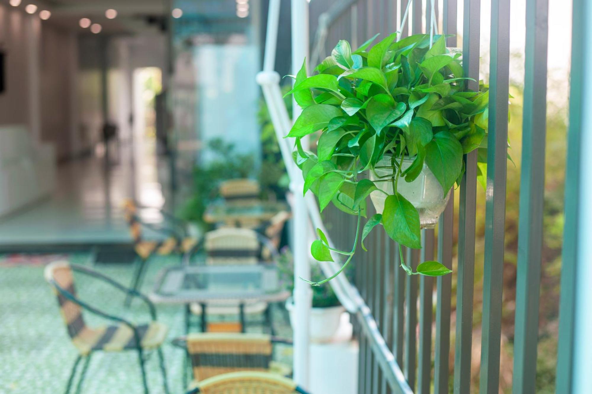 Tam Coc Peaceful Hotel Нин Бин Екстериор снимка